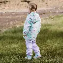 32.webp