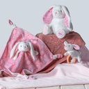 Mary Meyer Sweet Soothie Teether Rattles - Bunny
