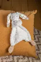 oatmeal-bunny_2022.webp