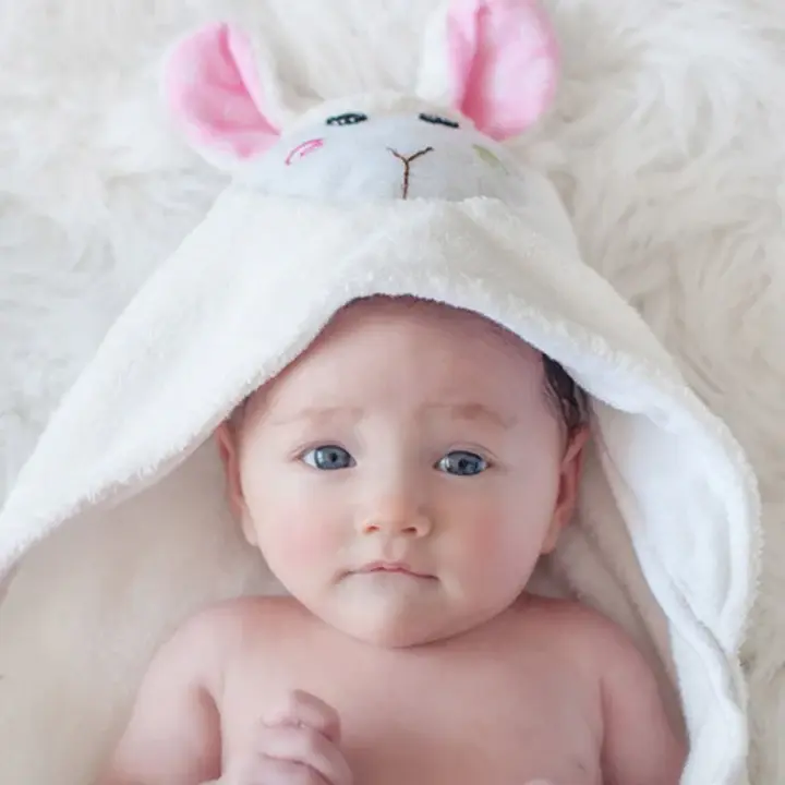 11204-Lamb-LS2-web_ae3c0362-0a9c-4c0d-85b1-eb9819d30032.webp