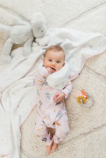 Screenshot 2026-01-15 124424.webp