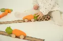 oli-carol-cathy-the-carrot-baby-car-toy-min-of-2-pk-multiples-of-2-pk-1040613.webp