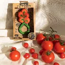 tomato2_aed3fdec-80c9-4e68-9bf7-6a590b778312.webp