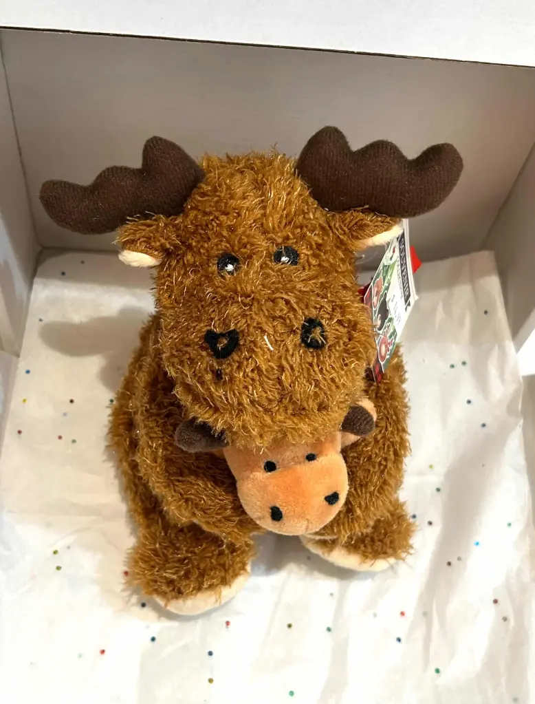 Hugs From Vancouver Moose