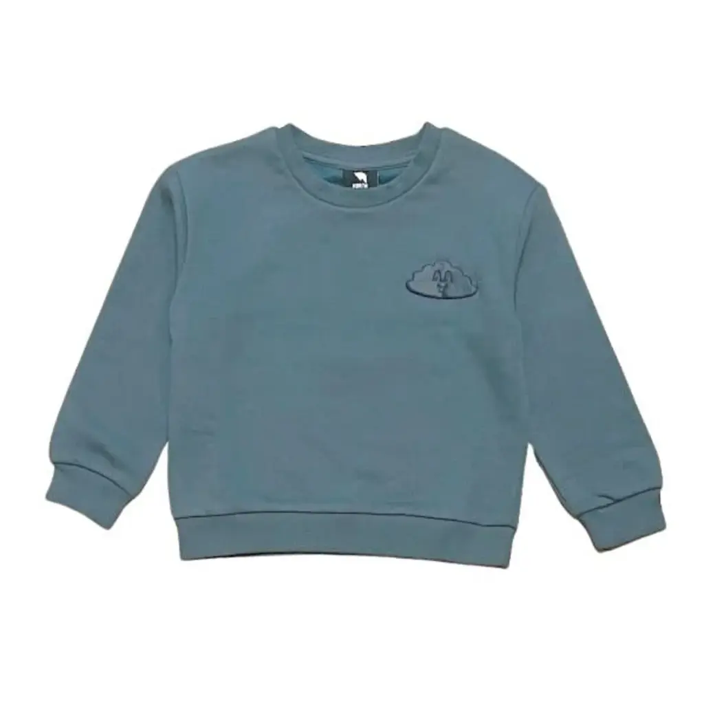 NorthCoast Top Sweatshirt Boxy With Puff Screen Fleece Dark Slate (2Y)