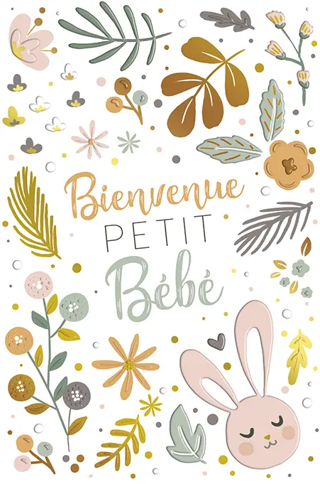 Incognito Greeting Cards Baby Shower Girl French EDI-2455B