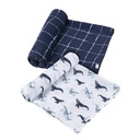 Gerber Baby Unisex 2-Pack Muslin Blanket - Coastal Calm