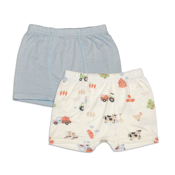 Silkberry Baby Underwear WF4611 Bamboo Shorts 2 Pack(Pumpkin Farm Print/Magic Cloud)