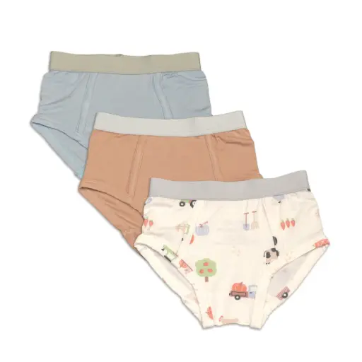 Silkberry Baby Underwear WF4612 Bamboo Boys Briefs 3 Pack(Magic Cloud/Toast/Pumpkin Farm Print)